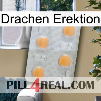 Dragon Erection 24